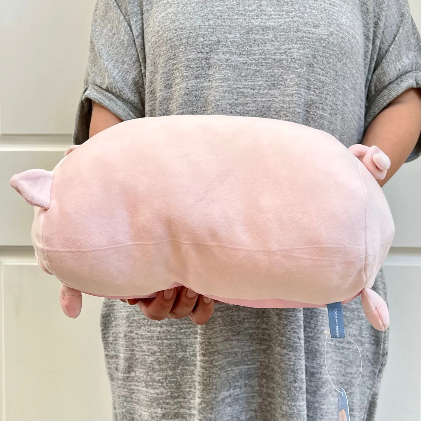 63405 PIG PILLOW PLUSH-3