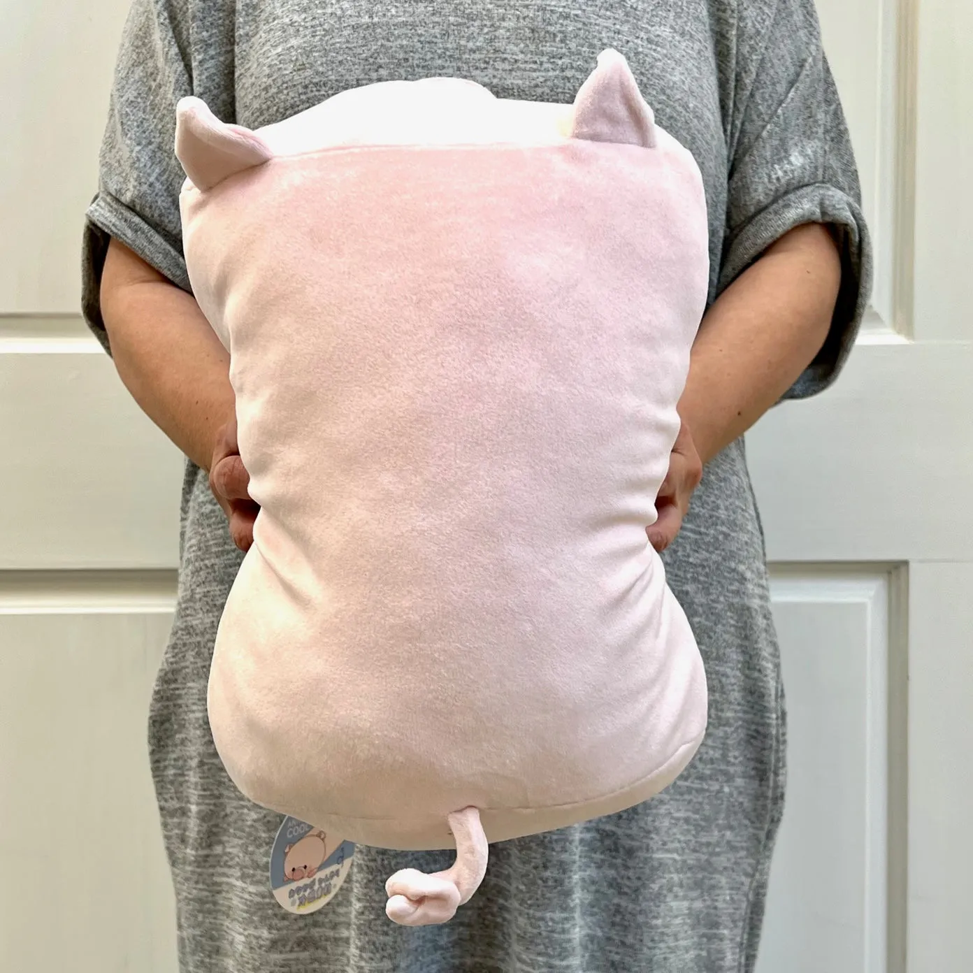 63405 PIG PILLOW PLUSH-3