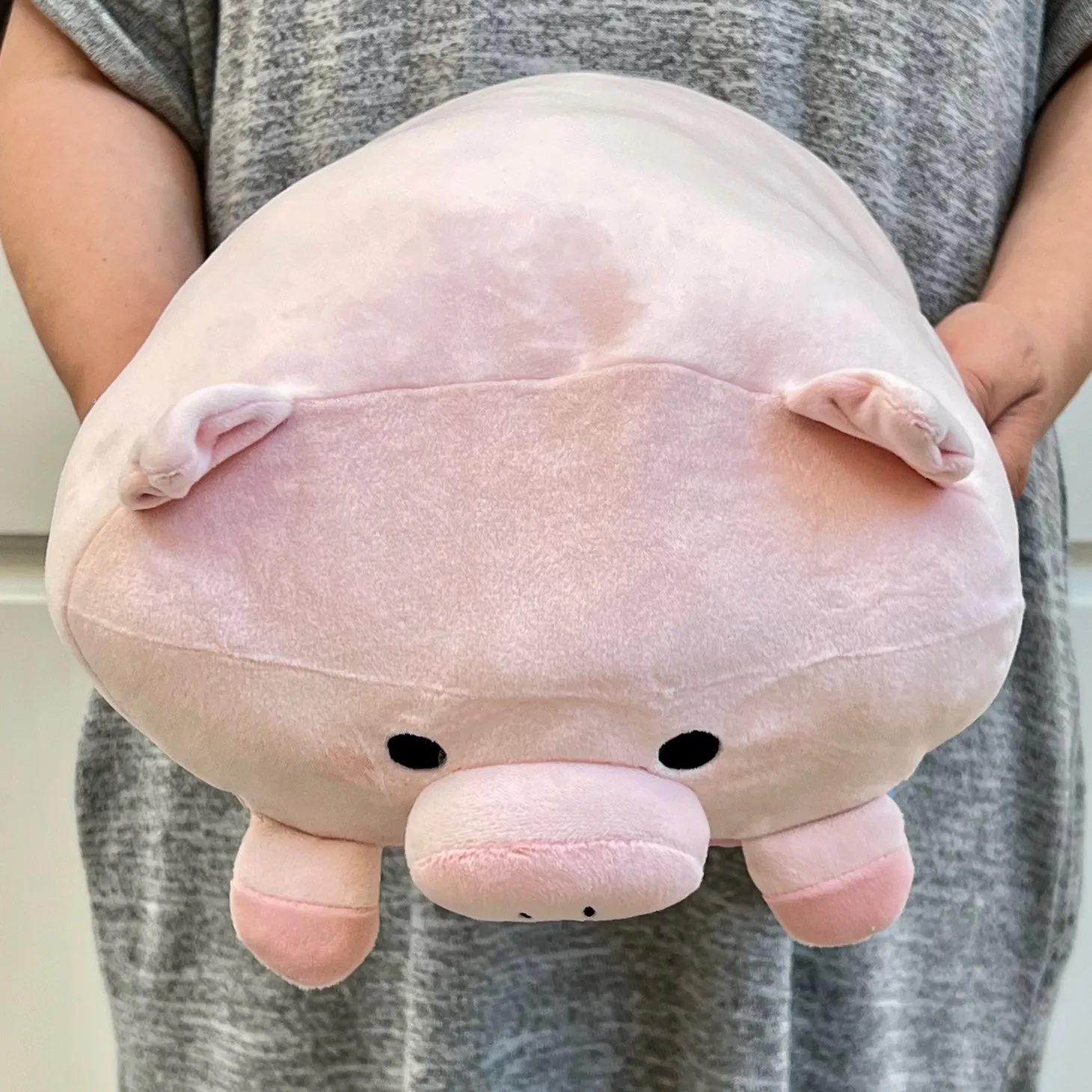 63405 PIG PILLOW PLUSH-3