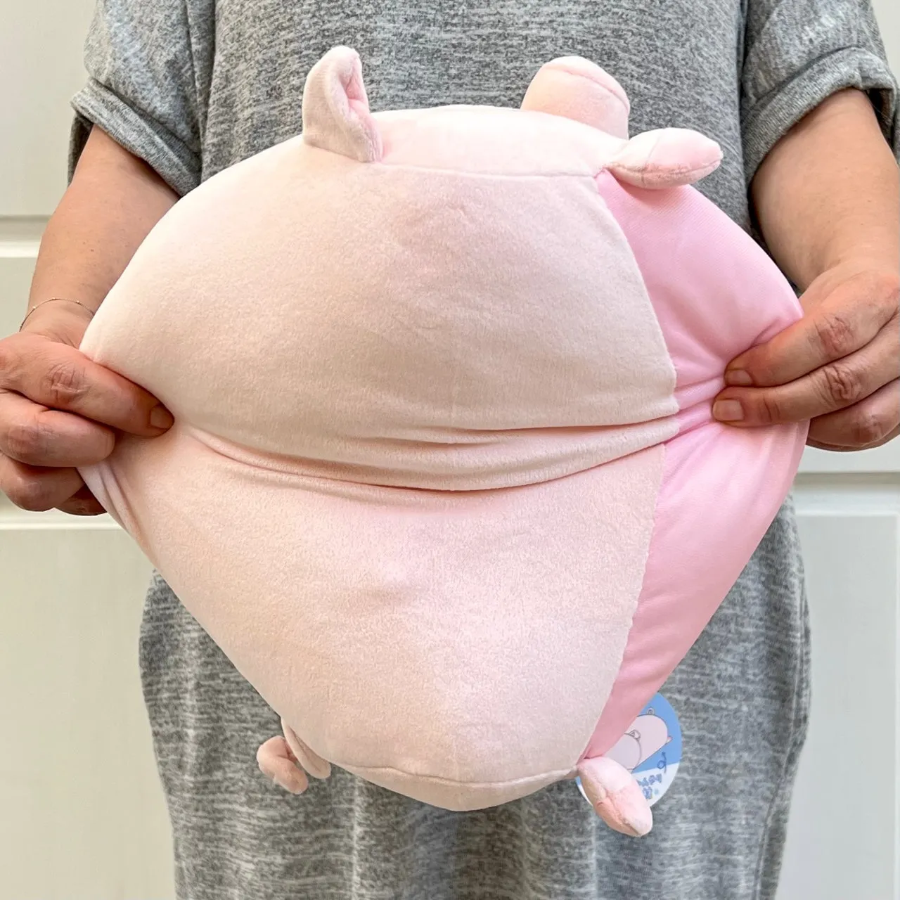 63405 PIG PILLOW PLUSH-3