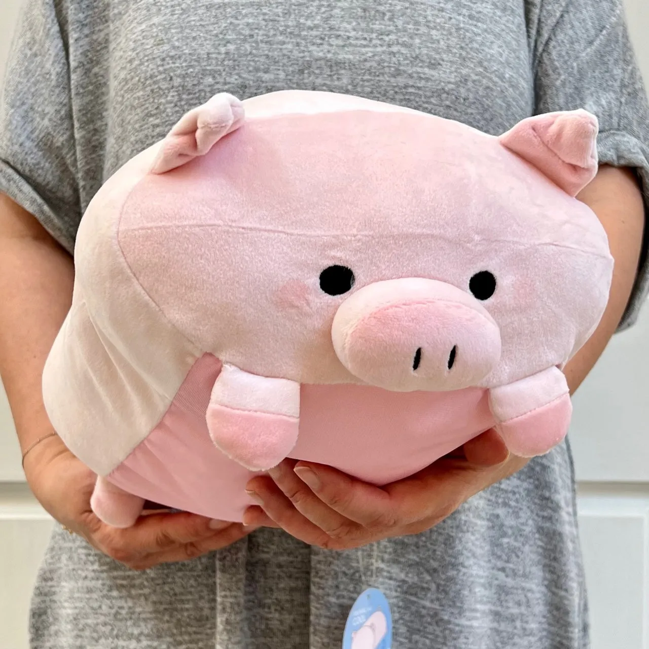 63405 PIG PILLOW PLUSH-3