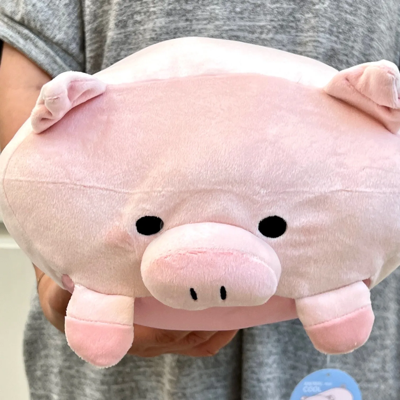 63405 PIG PILLOW PLUSH-3
