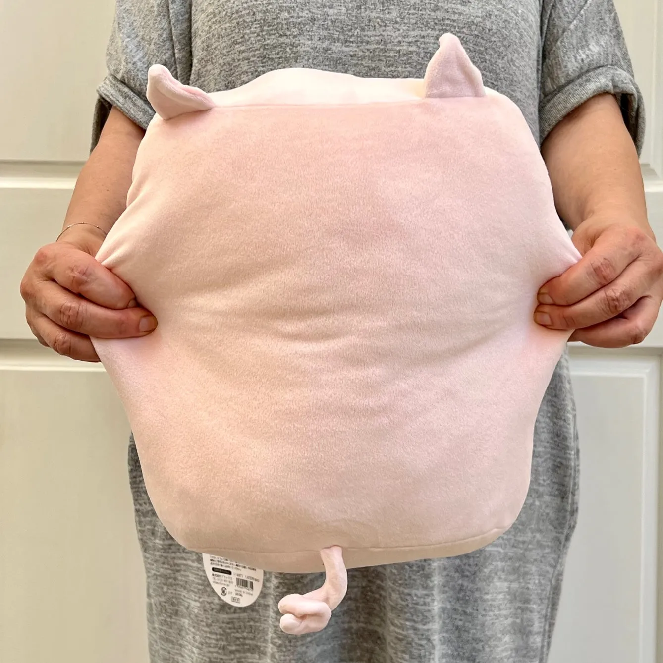 63405 PIG PILLOW PLUSH-3