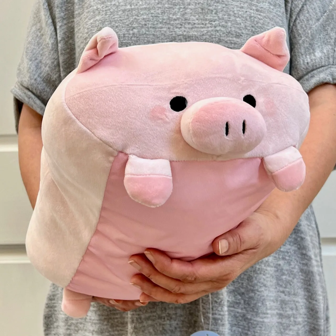 63405 PIG PILLOW PLUSH-3