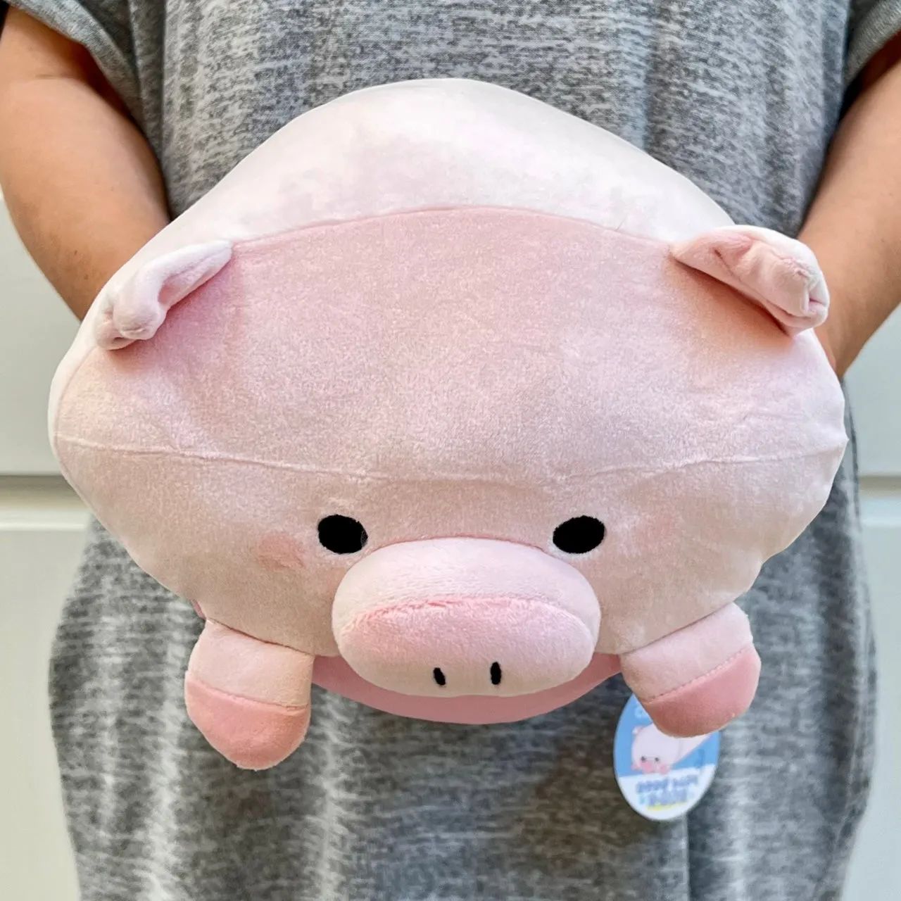 63405 PIG PILLOW PLUSH-3