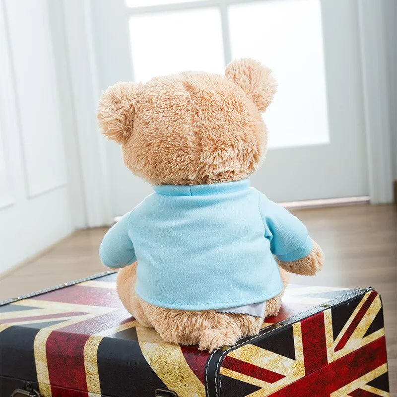 Baby's First Teddy Bear
