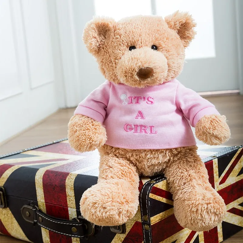 Baby's First Teddy Bear