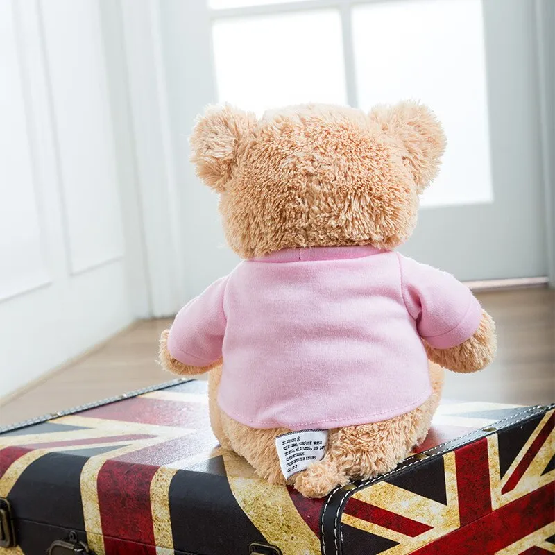 Baby's First Teddy Bear