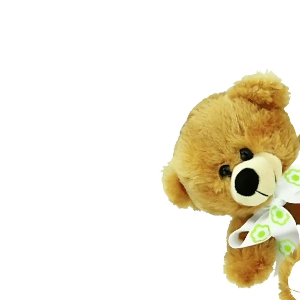 Brown Bear 30cm