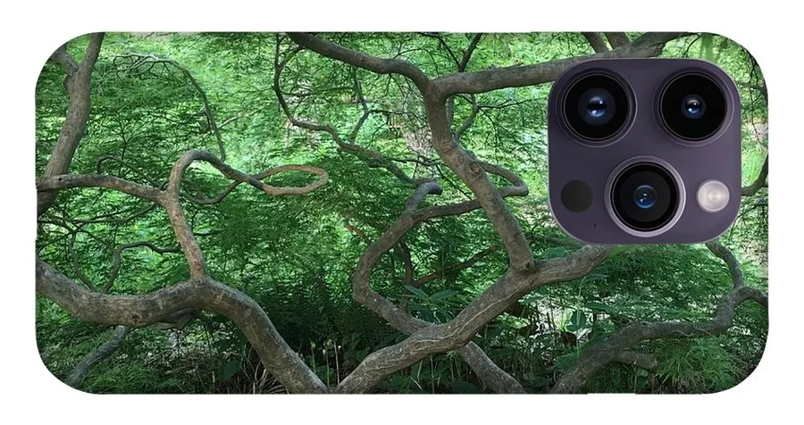 Cascading Japanese Maple - Phone Case
