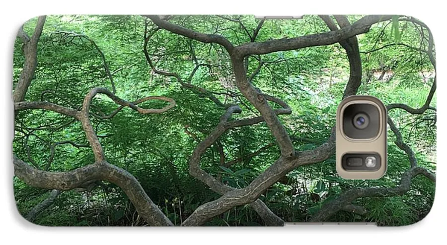 Cascading Japanese Maple - Phone Case