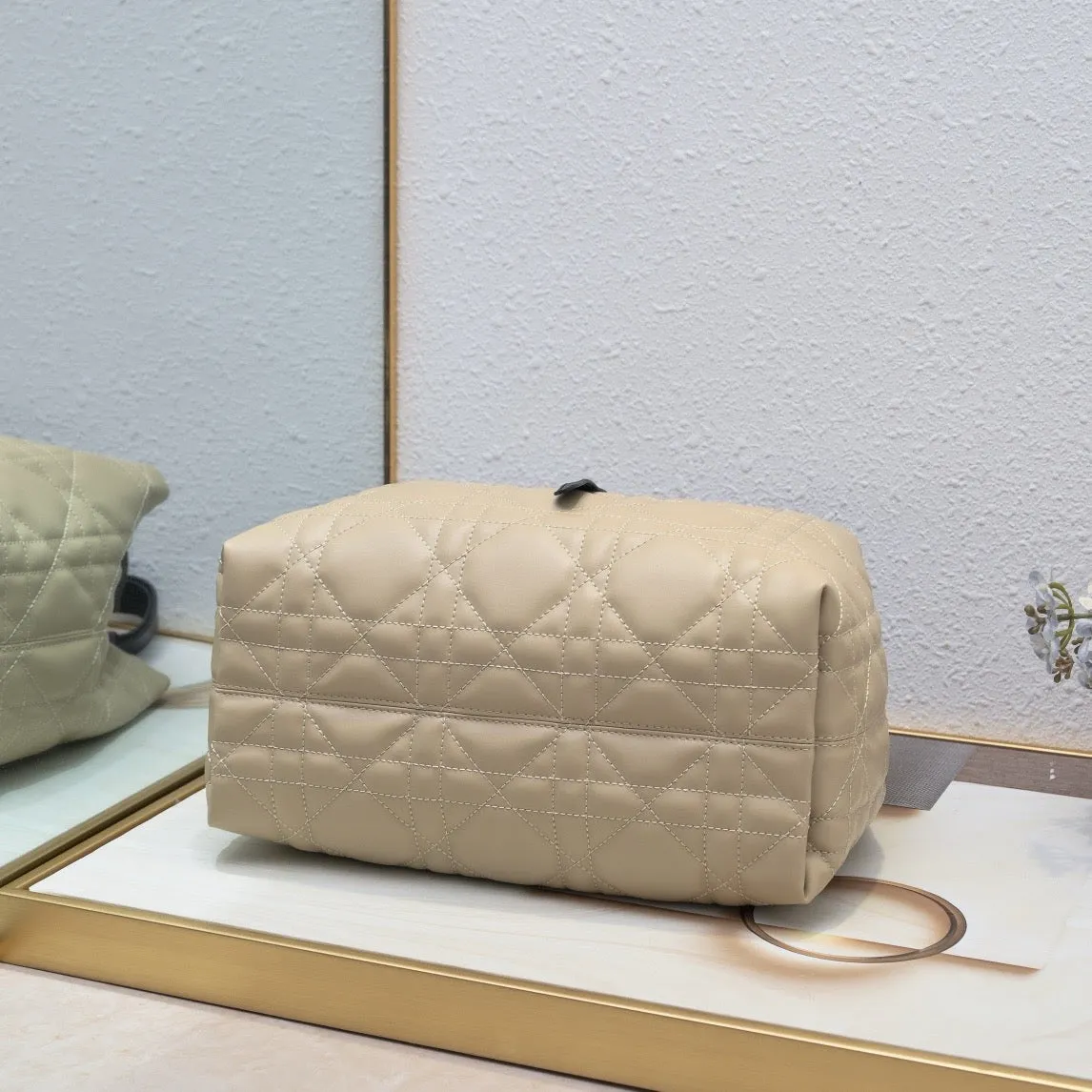 DR507 Small/Medium Dior Toujours Bag
