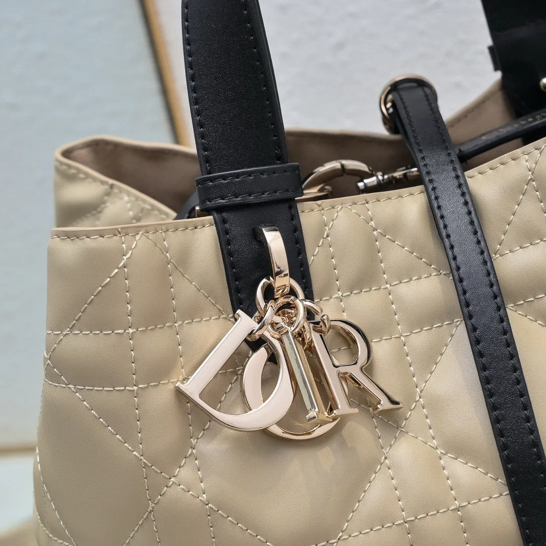 DR507 Small/Medium Dior Toujours Bag
