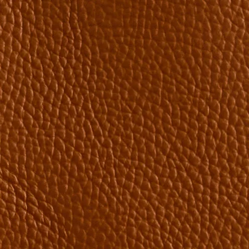 E55 in Acorn