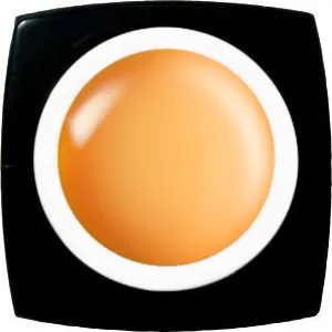 Kokoist Color Gel | E-209 Tequila Orange