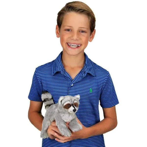 Lil' Rocko Small Plush Stuffed Animal Raccoon