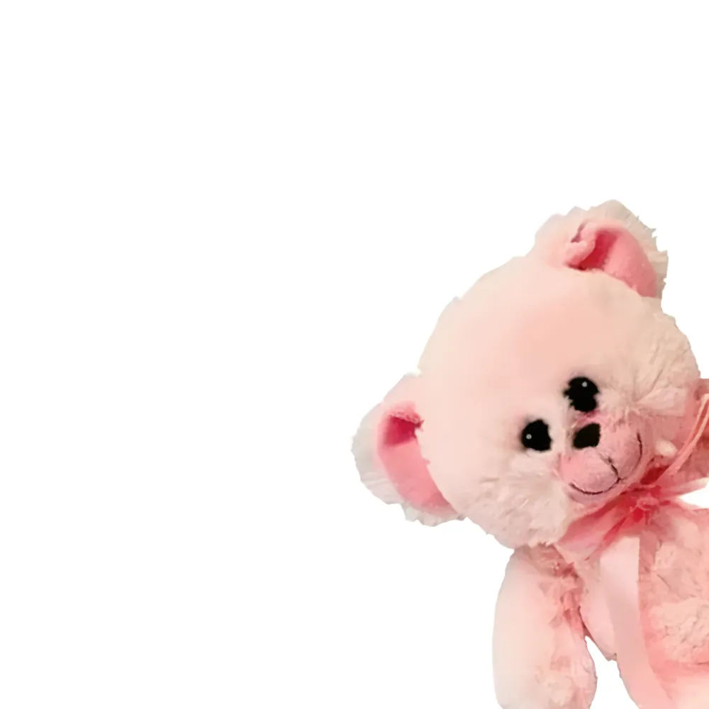 Pink Teddy 30cm