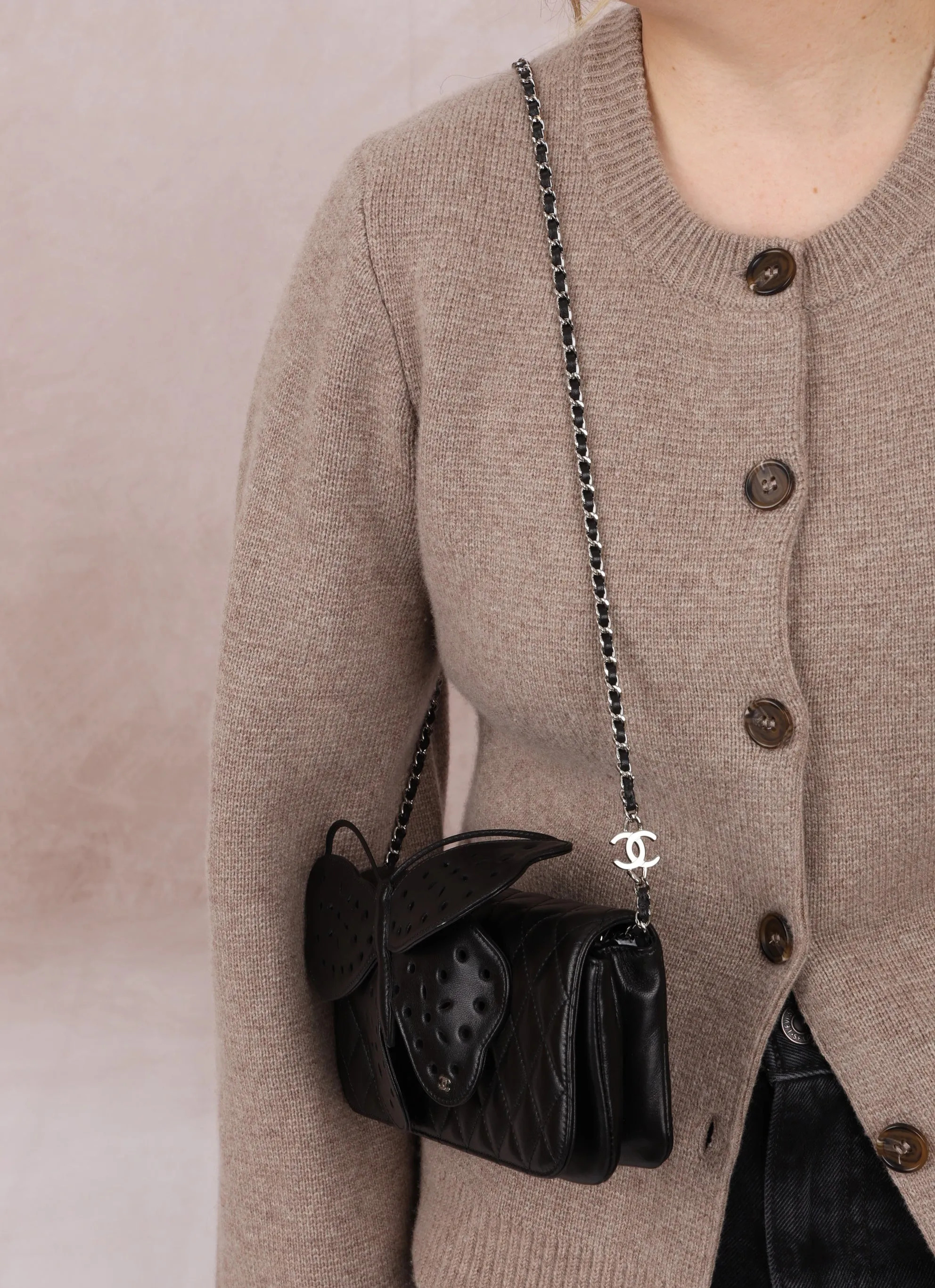 Rare Chanel 2011 Lambskin Butterfly Crossbody