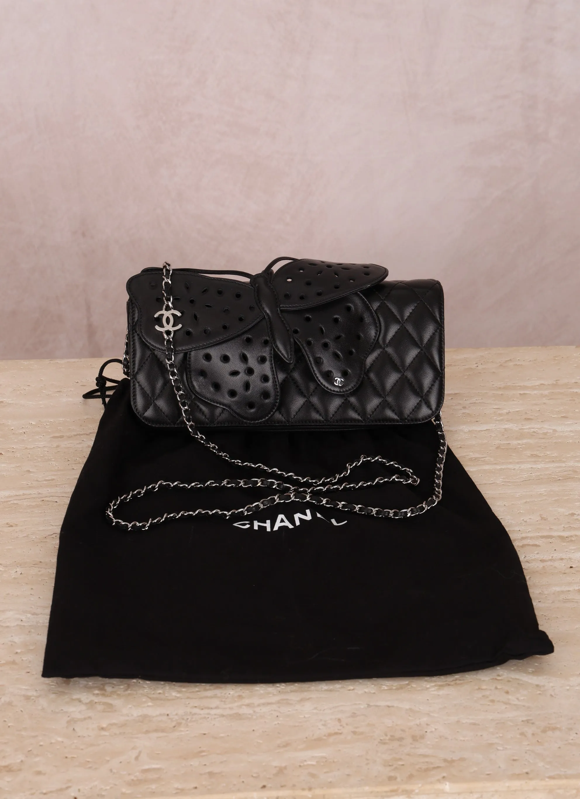 Rare Chanel 2011 Lambskin Butterfly Crossbody