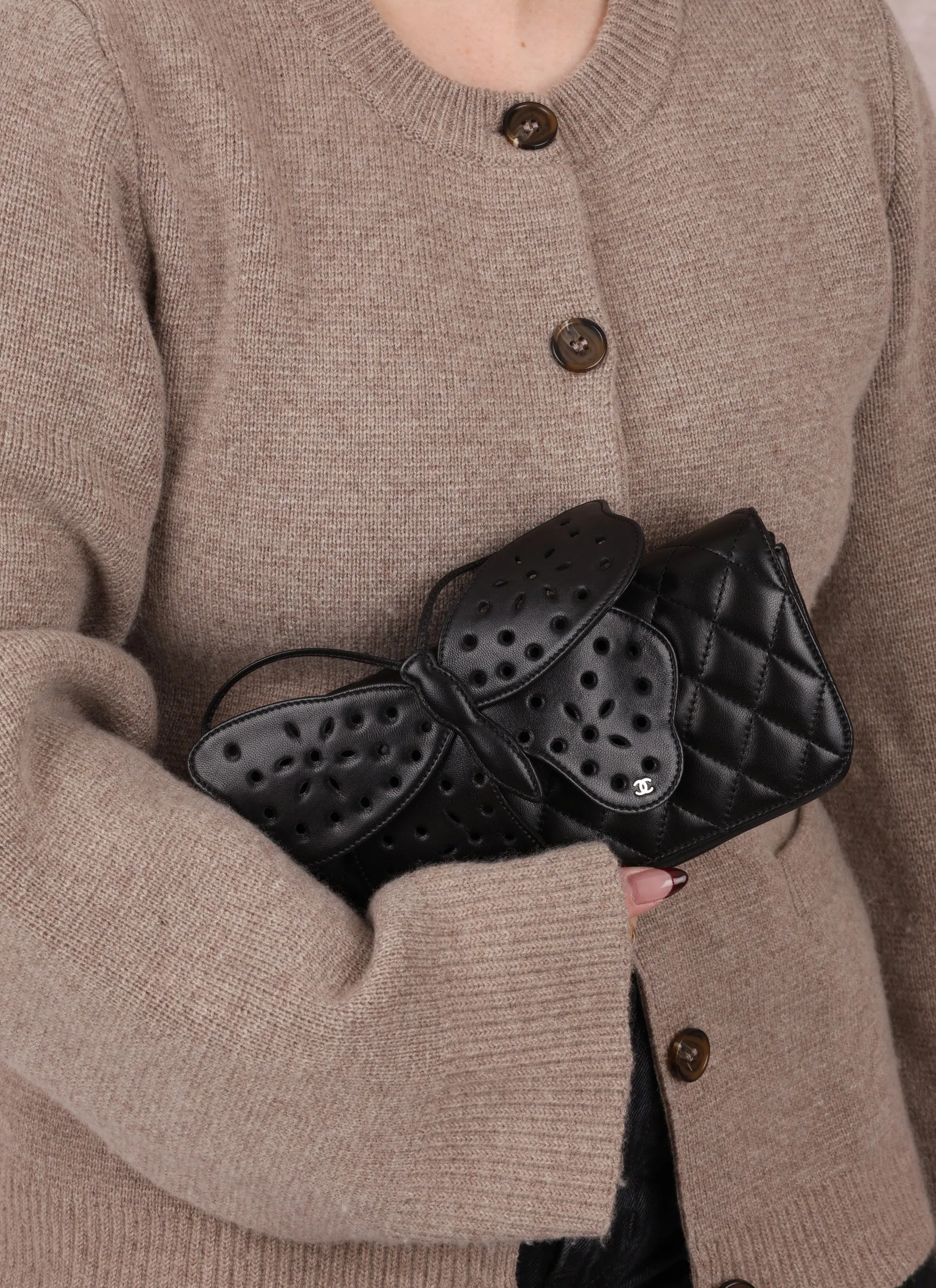 Rare Chanel 2011 Lambskin Butterfly Crossbody