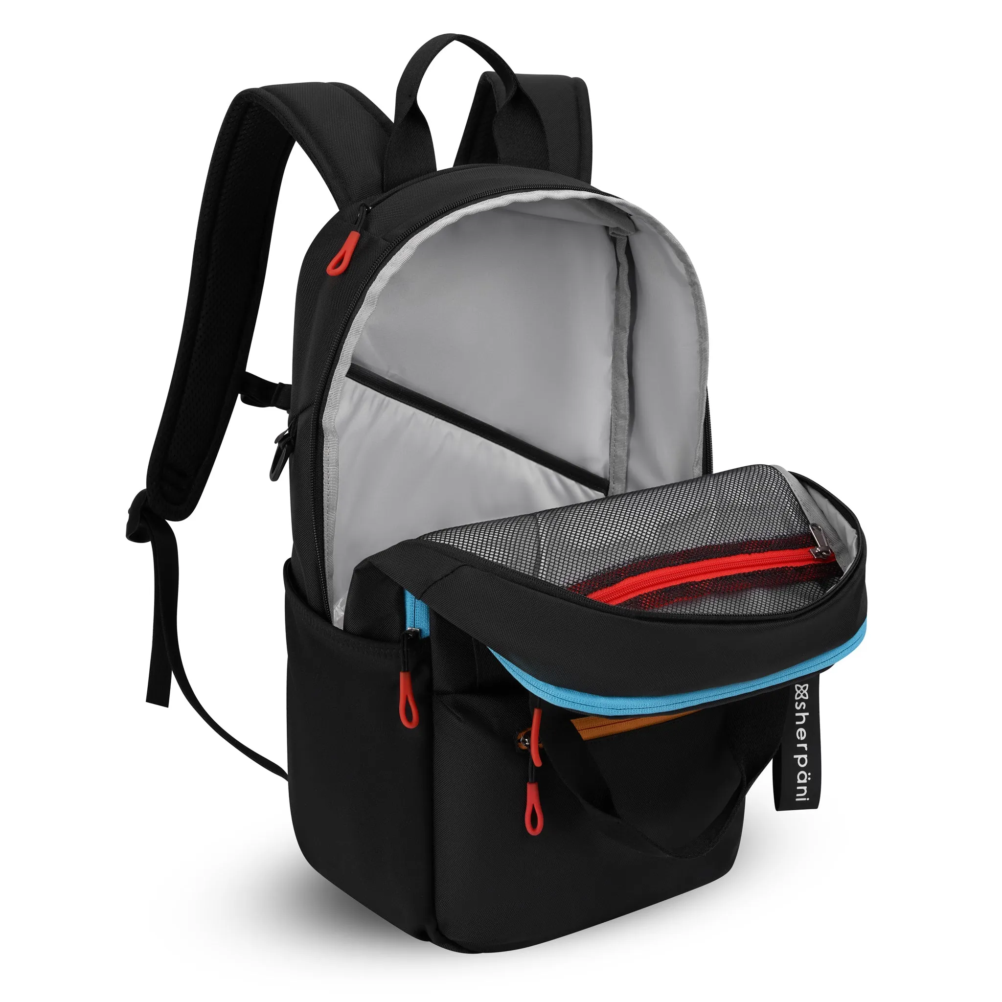Sherpani Camden Convertible Backpack chromatic
