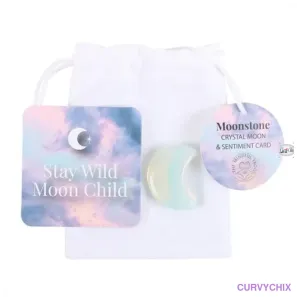 Stay Wild Opalite Crystal Moon in a Bag