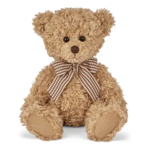 Theodore the Stuffed Teddy Bear