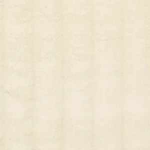 Tundra | Ivory